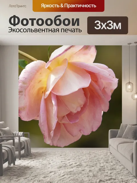 Фотообои Осень