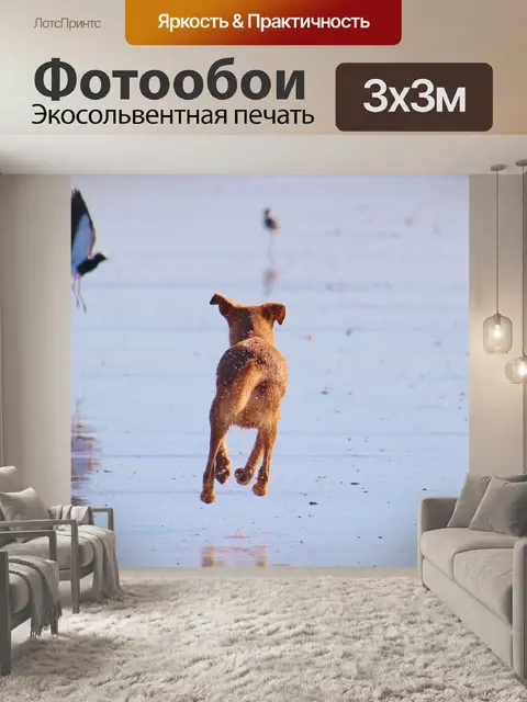 Фотообои Собака