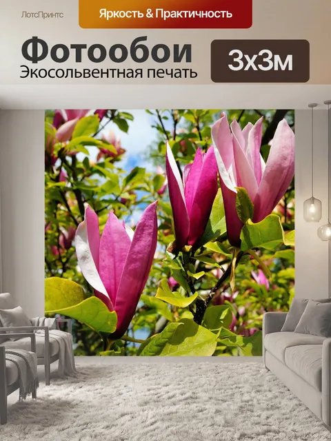 Фотообои Расцветает