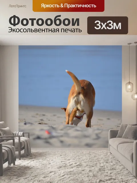 Фотообои Пляж