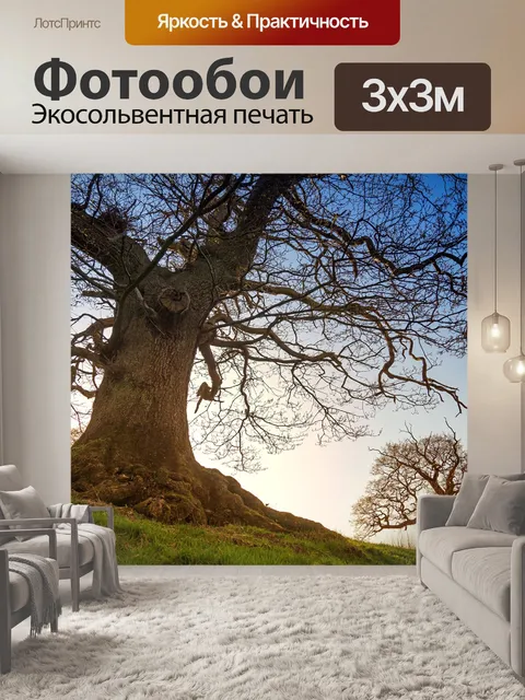 Фотообои Дерево