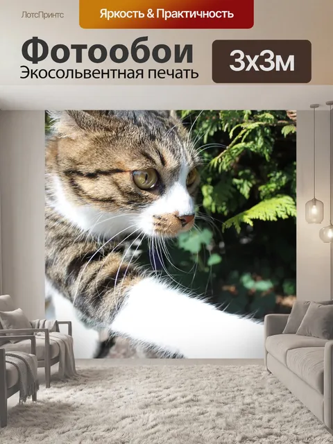 Фотообои Кошка