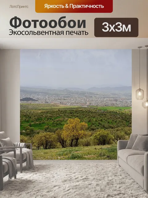 Фотообои Деревья