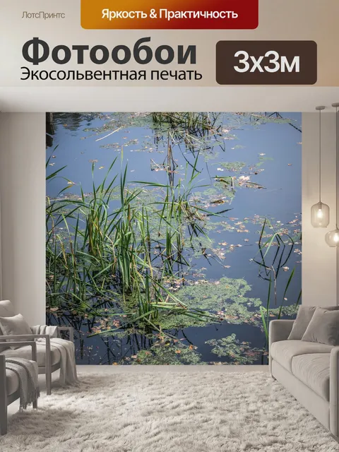 Фотообои Поверхность