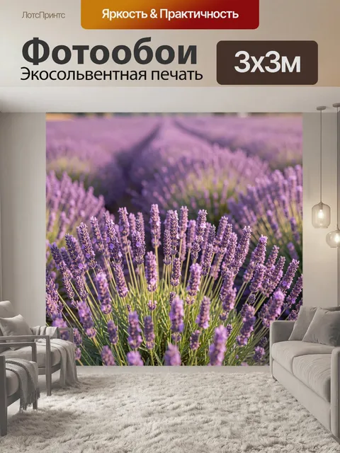 Фотообои Лавандовое поле в цветении