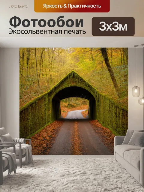 Фотообои мост с арочными пролётами, отходящими в величественный лес, покрытый мохом и увядшими листьями