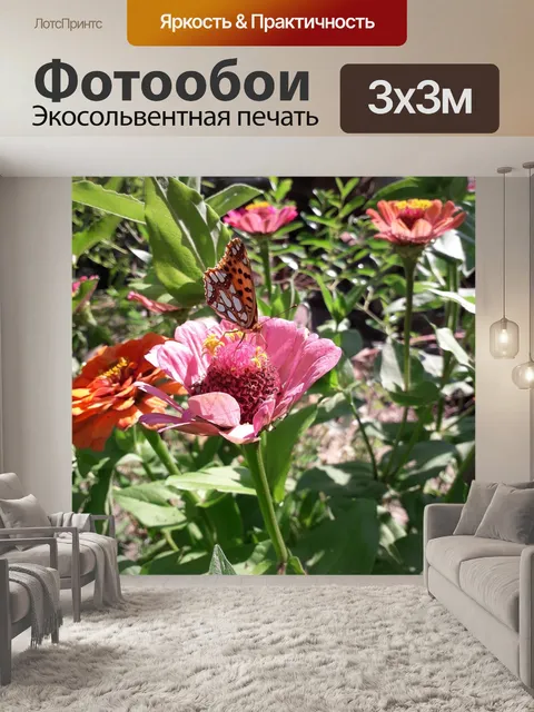 Фотообои Бабочка