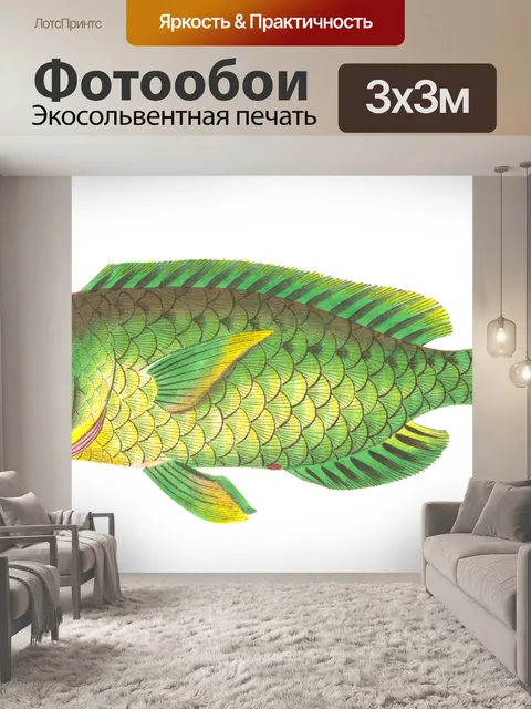Фотообои Рыба тропических старинных искусства