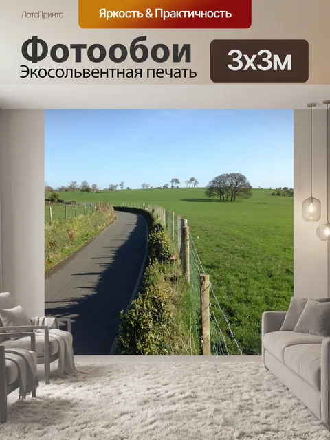 Фотообои Проселочная дорога