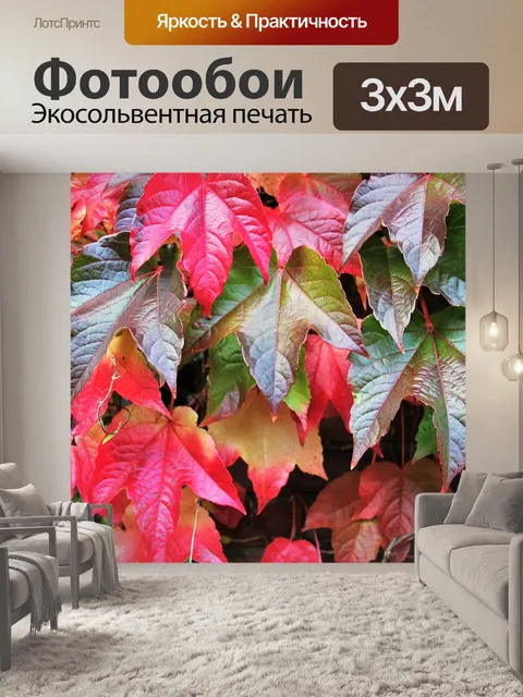 Фотообои Осенние листья