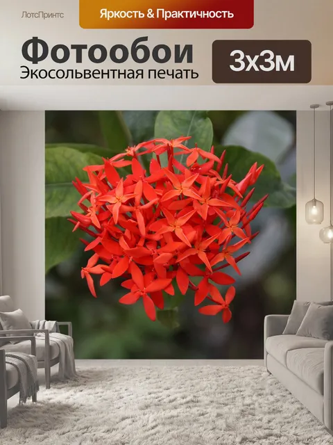 Фотообои Джунгли герань