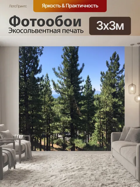 Фотообои Сосны