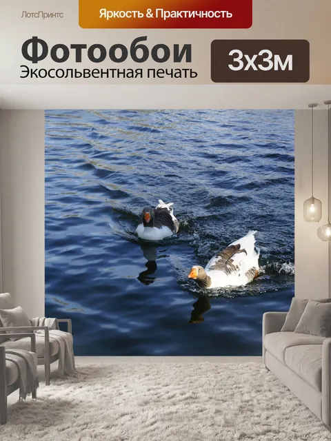 Фотообои Птицы