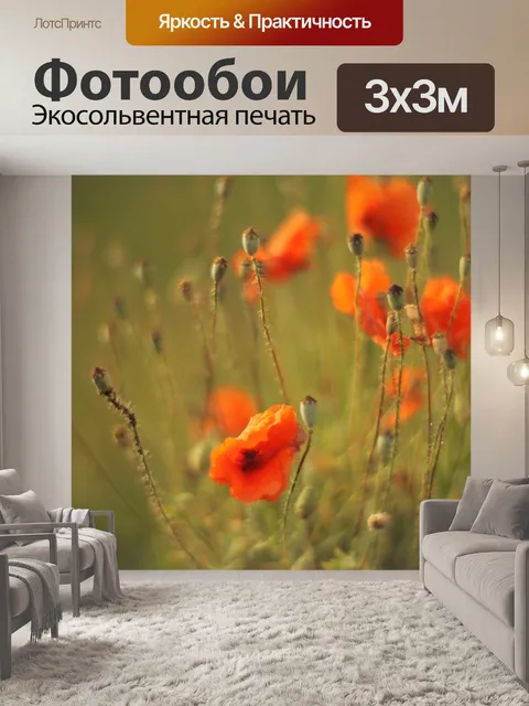 Фотообои Маки