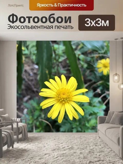 Фотообои Золото джу