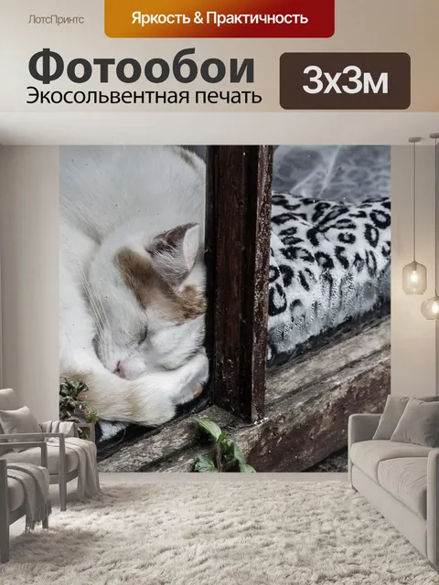 Фотообои Кот