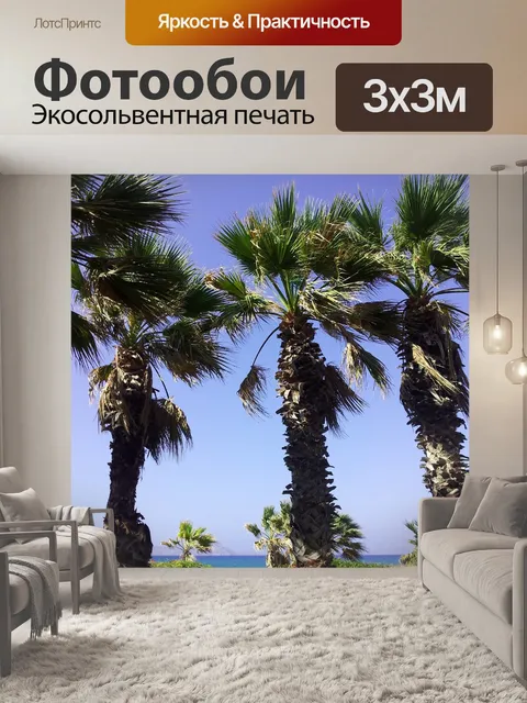 Фотообои Пальма