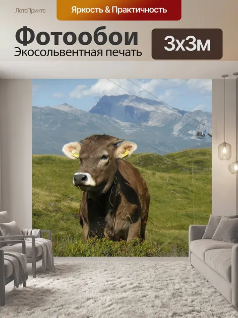 Фотообои Корова