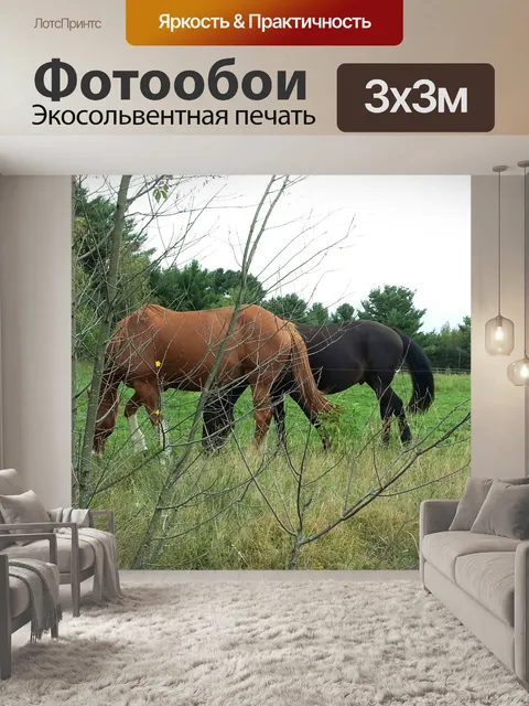 Фотообои Две лошади на пастбище