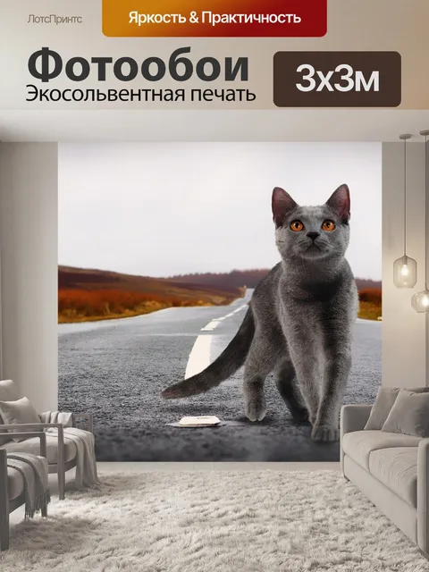 Фотообои Кот