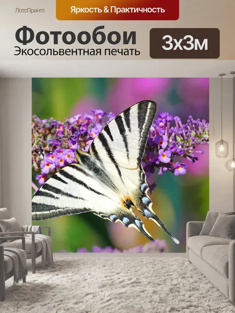 Фотообои Парусники бабочки