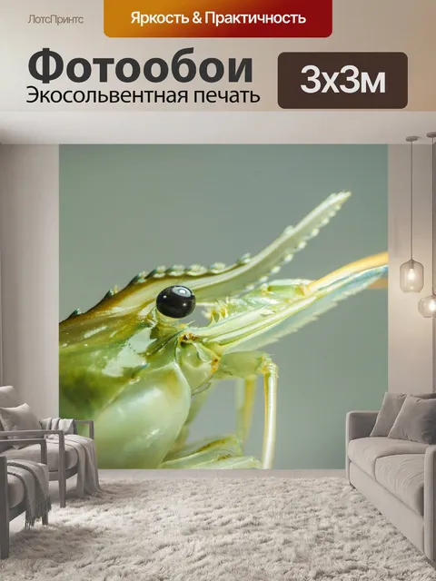 Фотообои Свежие приготовленные креветки фон мореп