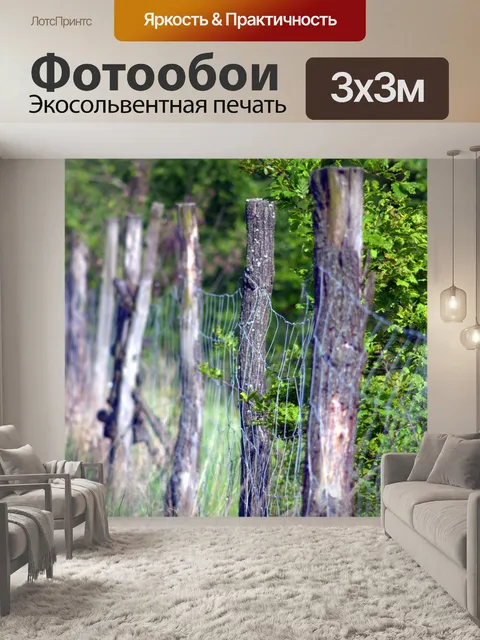 Фотообои Забор