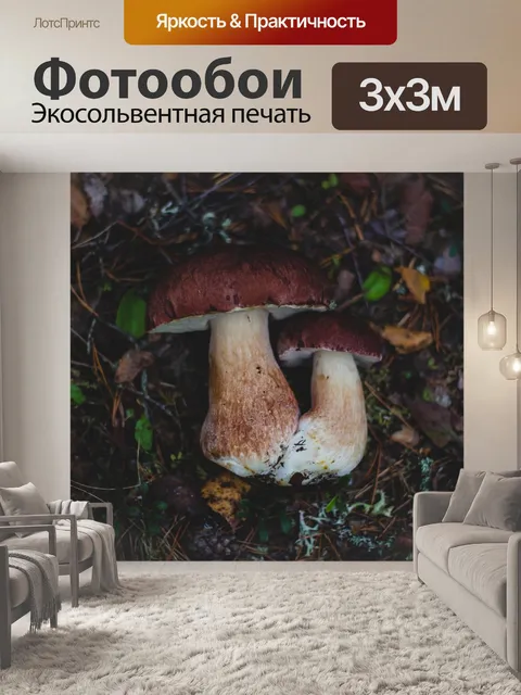 Фотообои Гриб