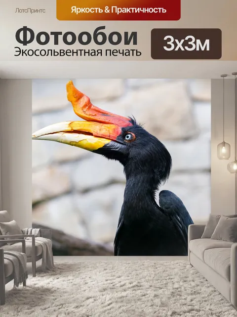 Фотообои Носорог птица-носорог