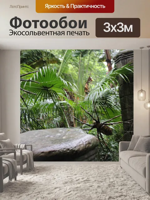 Фотообои Большой паук
