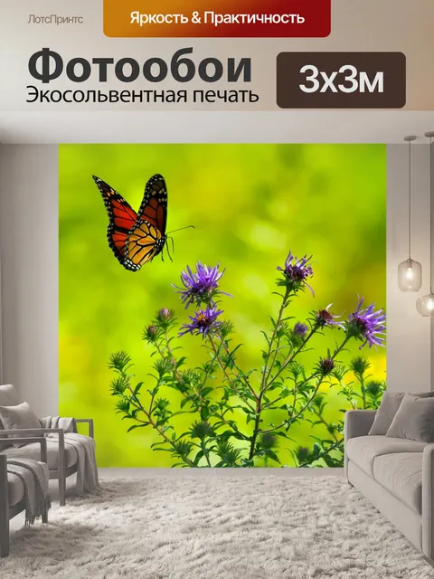 Фотообои Бабочка
