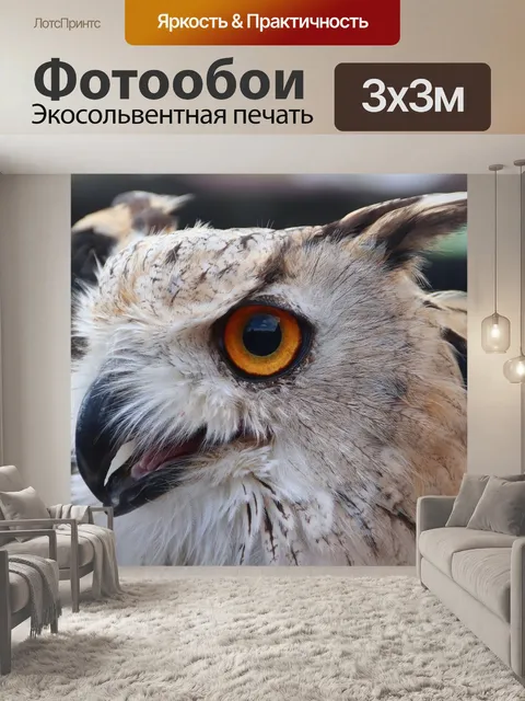 Фотообои Филин