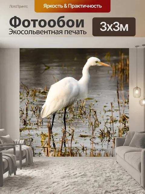 Фотообои Птица