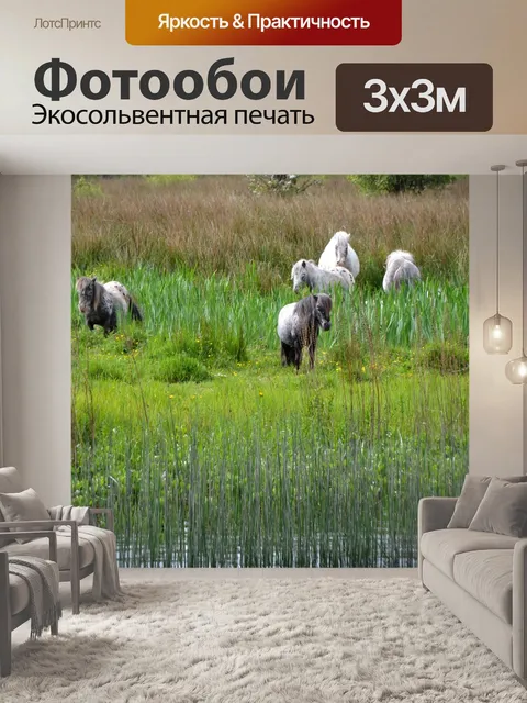 Фотообои Пони