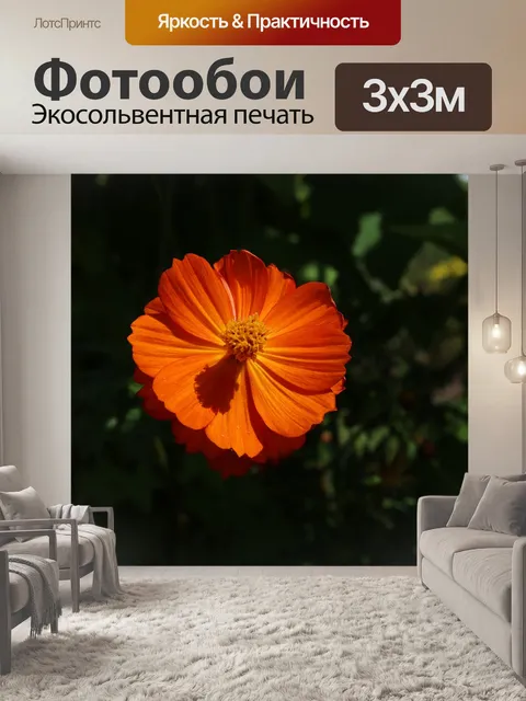 Фотообои Цветы
