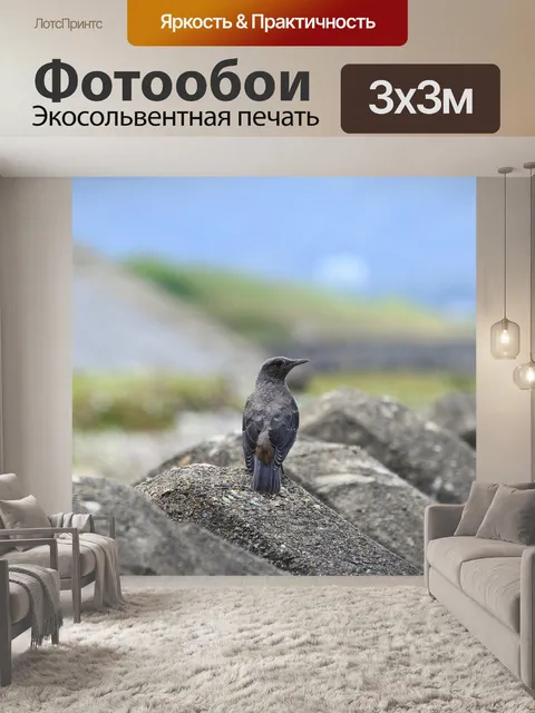 Фотообои Животное