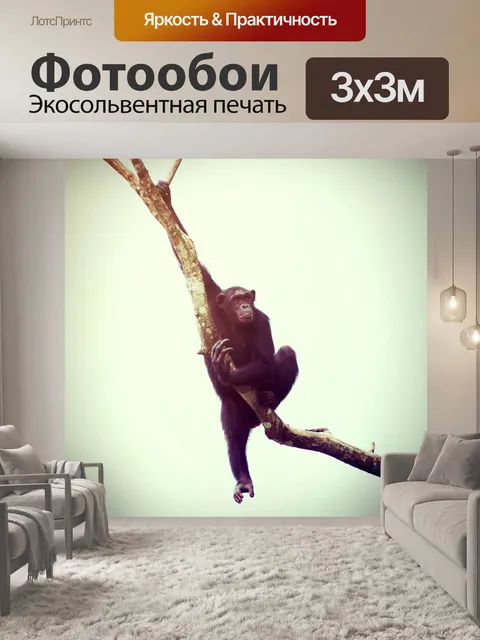 Фотообои Обезьяна шимпанзе в открытом зоопарке