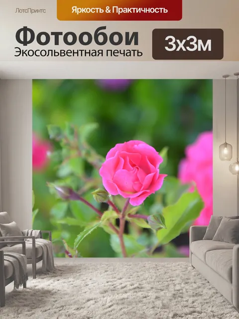 Фотообои Розовый