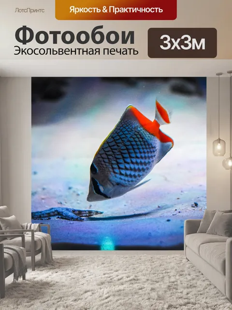 Фотообои Рыбы