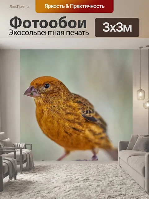 Фотообои Птица