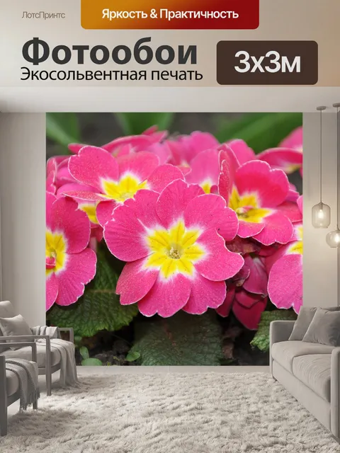 Фотообои Цветы