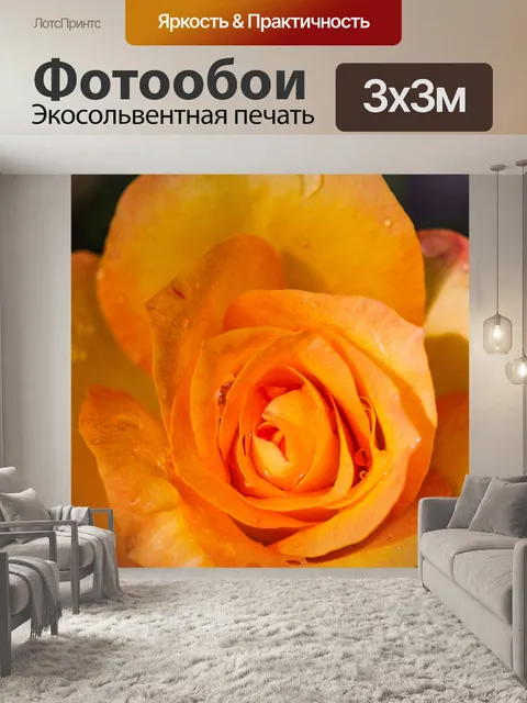 Фотообои Роза в саду