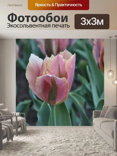 Фотообои Цветы