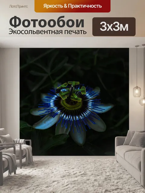 Фотообои Цветок
