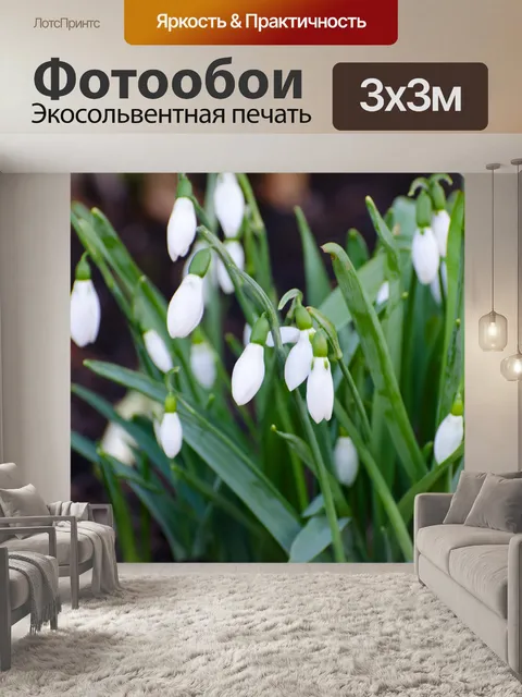 Фотообои Первый цветок весной