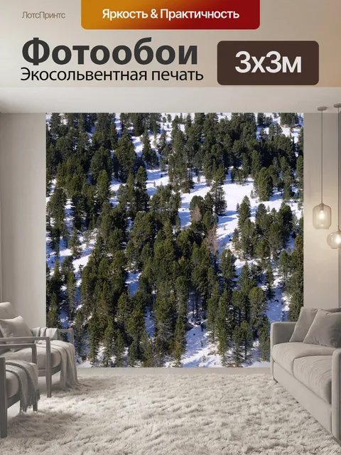 Фотообои Сосны лес