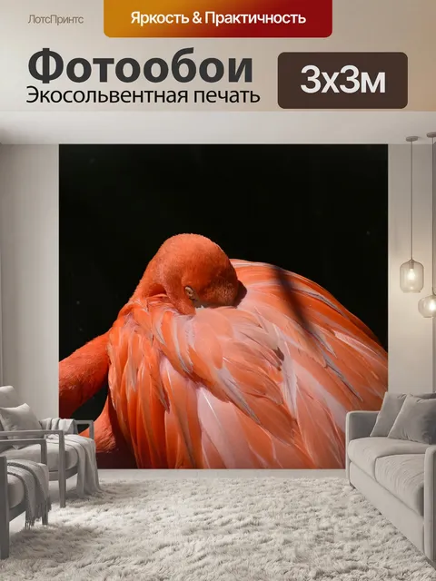 Фотообои Животное