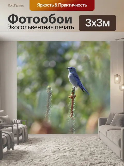Фотообои Птица