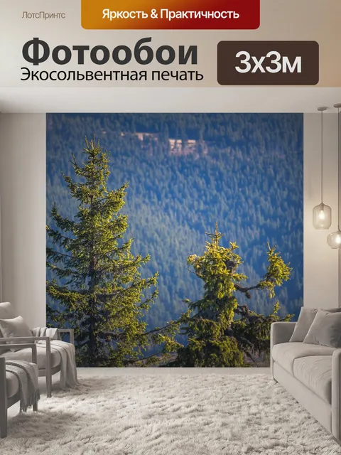 Фотообои Сосны