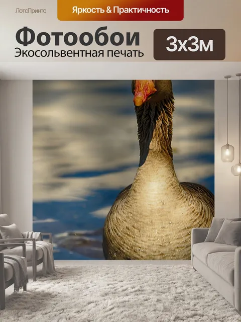 Фотообои Гусь